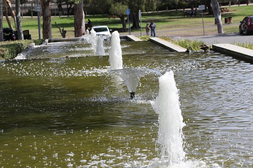 Free Water River photo and picture