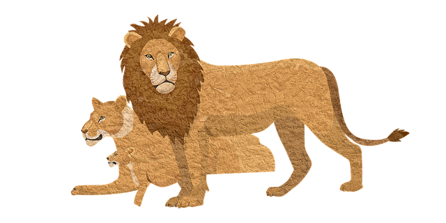 Löwe, Pixabay, Tier, Löwin, Jahrgang