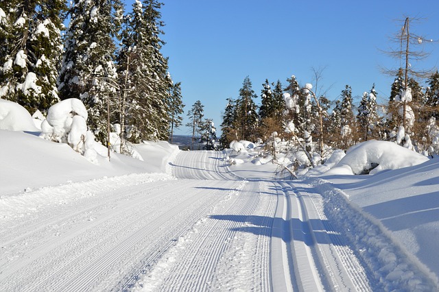 Snow, winter, nature and ski trail — photo by AutereJA