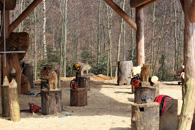 Free Wood Building photo and picture
