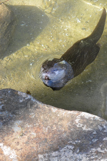 Free Nature Waters photo and picture