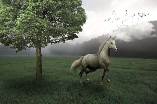 Free Mammals Haymaking photo and picture