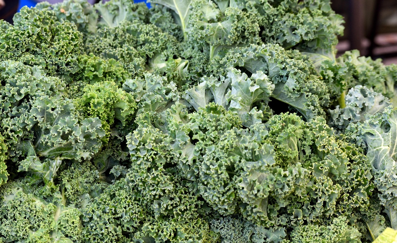 Kale Vegetable Lettuce Free photo on Pixabay Pixabay