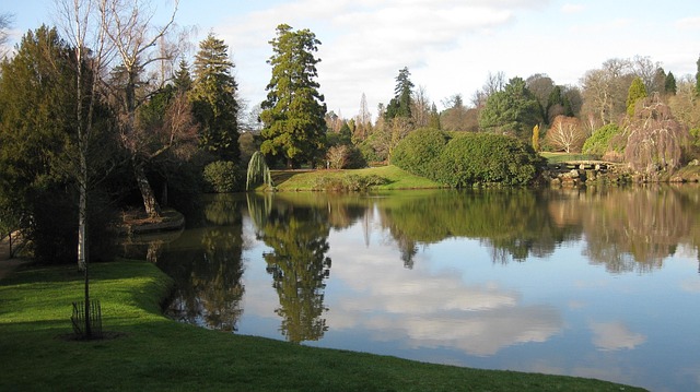 Free Water Nature photo and picture