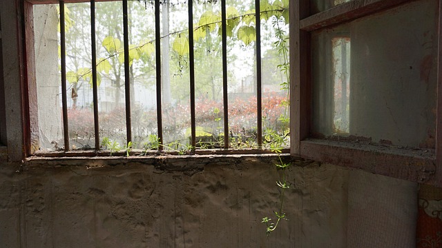 Free Window Wood photo and picture