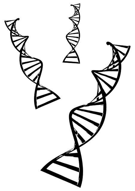 Free Double Helix illustration and picture