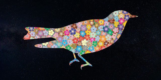 Free bird pigeon flower illustration