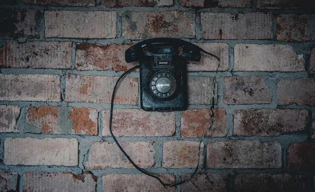 Free Wall Brick photo and picture