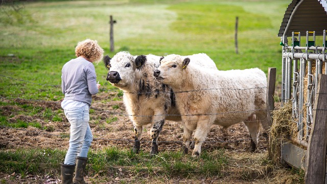 Free Mammal Farm Yard photo and picture