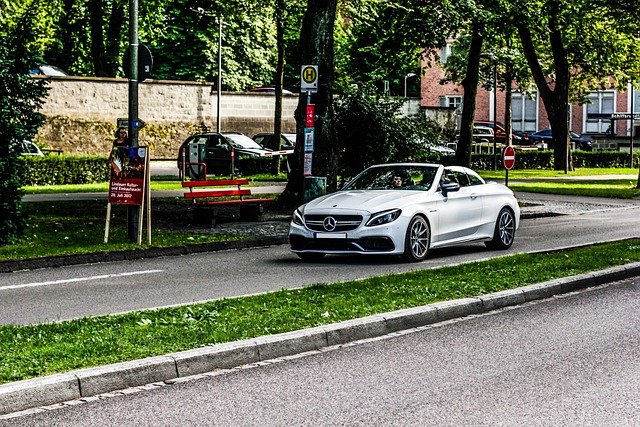 Free Automobile Road photo and picture