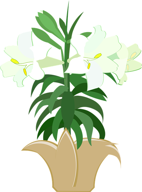 Free graphic easter lily easter vector
