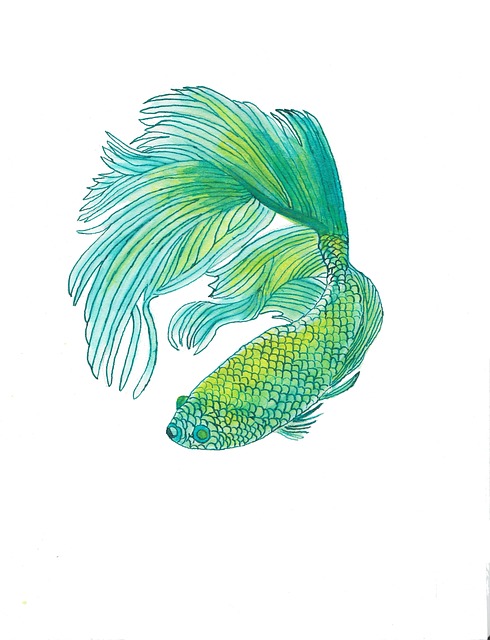 Free fish aquatic aquarium illustration