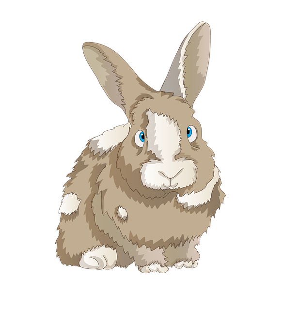 Free rabbits cute dwarf rabbit illustration