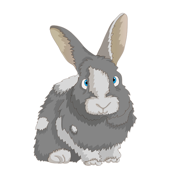 Free rabbits cute dwarf rabbit illustration