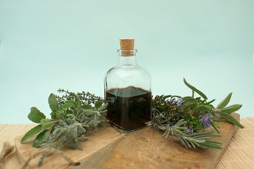 Free Bottle Leaf photo and picture