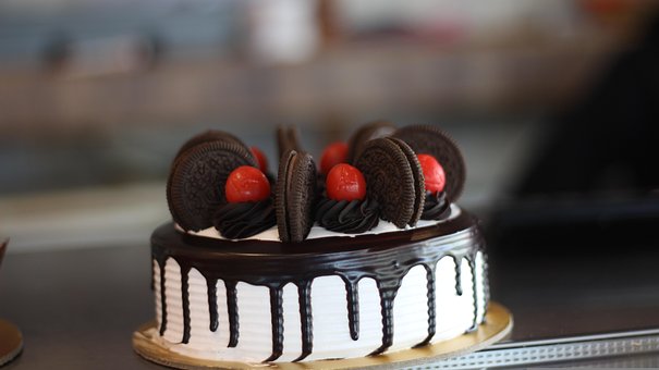 Free Cake Chocolate photo and picture