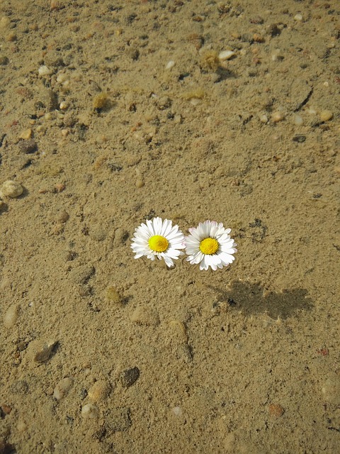 Free Sand Nature photo and picture