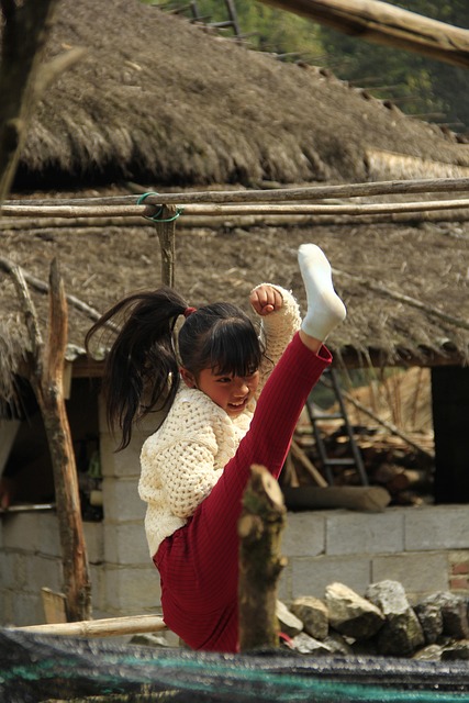 Free Kung Fu Girl photo and picture