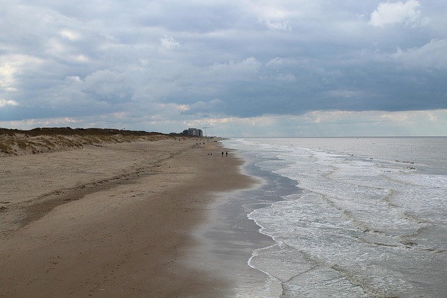 Free Body Of Water Sand photo and picture