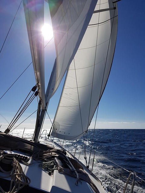 Free Sail Sailing Yacht photo and picture