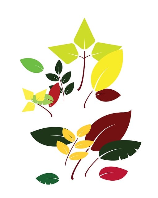 Free leaf flora nature illustration
