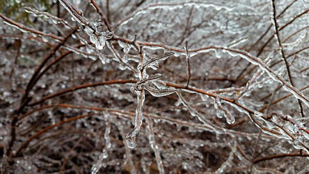 Nature, Frost, Winter, Cold, Pattern