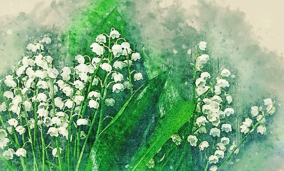 pictures to watercolor