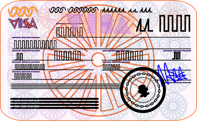 Gráfico, Visa, Pasaporte, Viaje