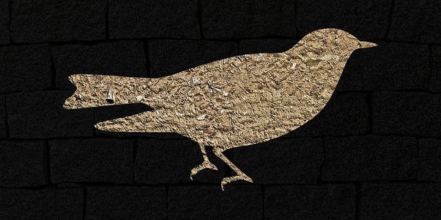 Pasăre, Porumbel, Animal, Low Poly