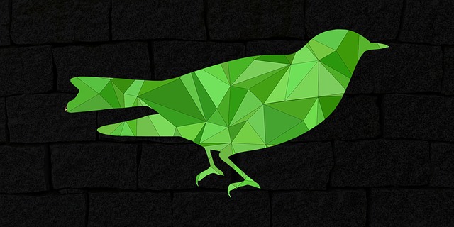 Pasăre, Low Poly, 3D Pasăre, Animal