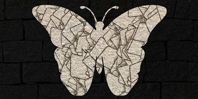 Free butterfly animal insects illustration