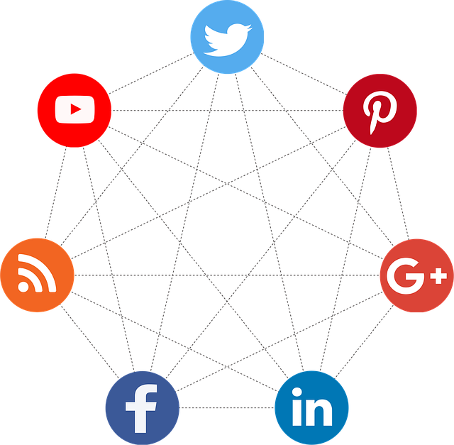 Free social the network video vector