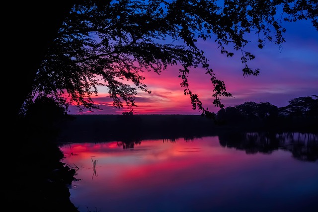 Spätnachmittag, Baum, See