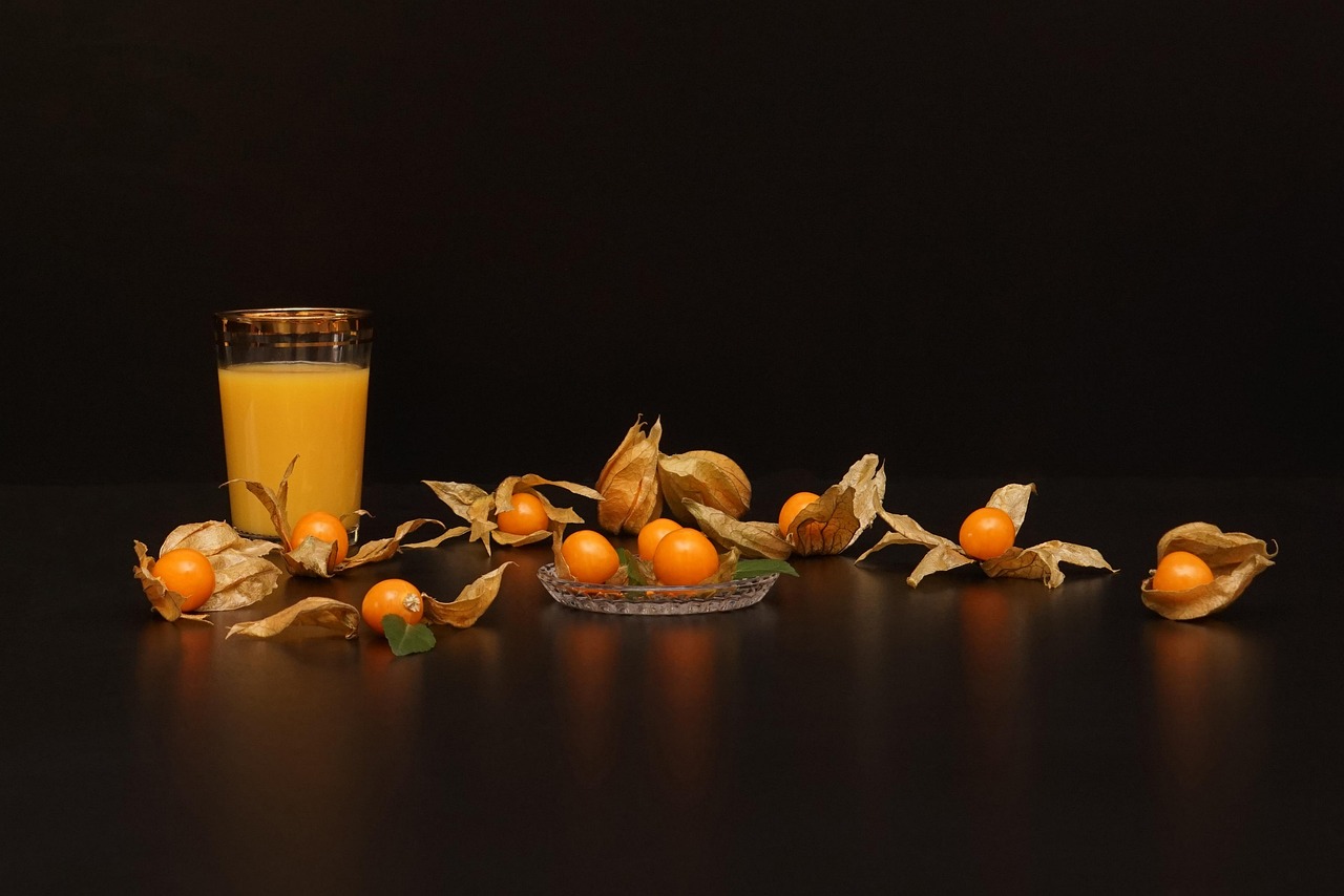 Still Physalis Life - free online jigsaw puzzle photo
