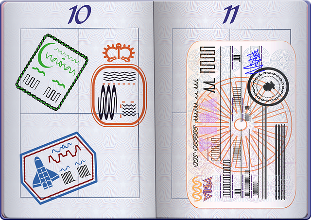 Free graphic passport visas vector