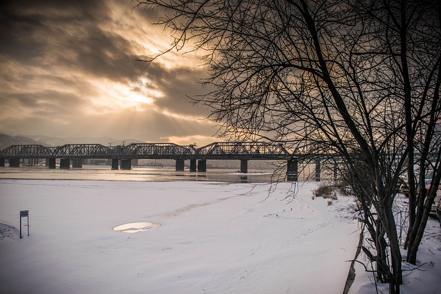 Free Winter Tree photo and picture