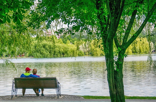 Free Water Lake photo and picture