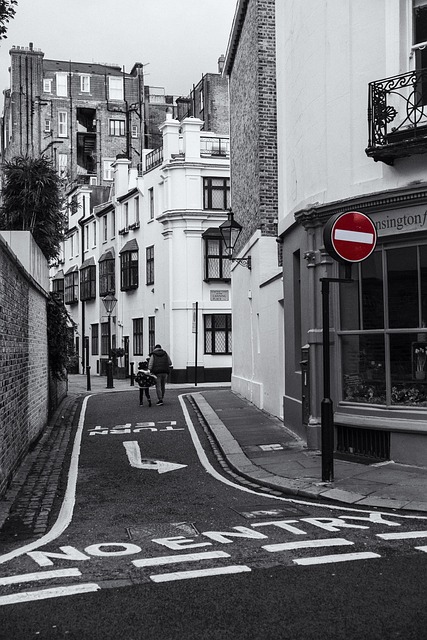 Free Street Road photo and picture
