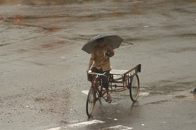 Free Water Rains photo and picture