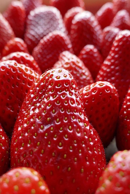 Free Fruit Strawberry photo and picture