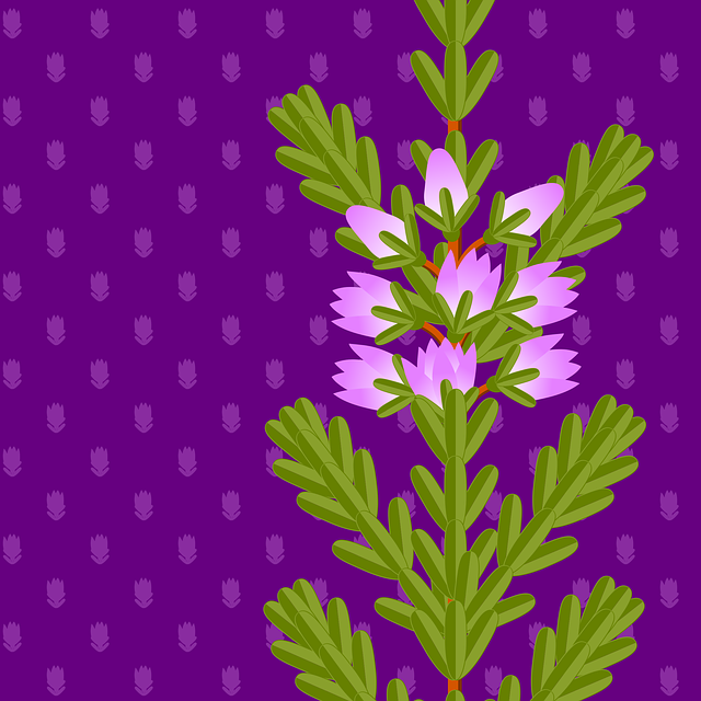 Free background image erica heather illustration