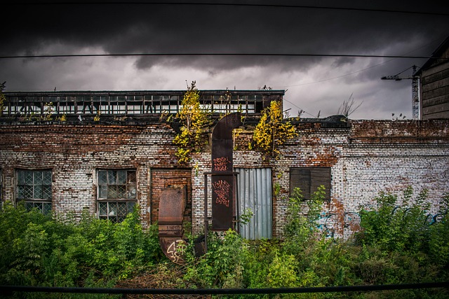Free House Architecture photo and picture