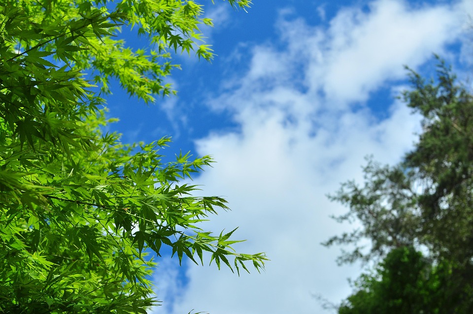 优化布局完善制度贵州国企改革加速跑出高质量