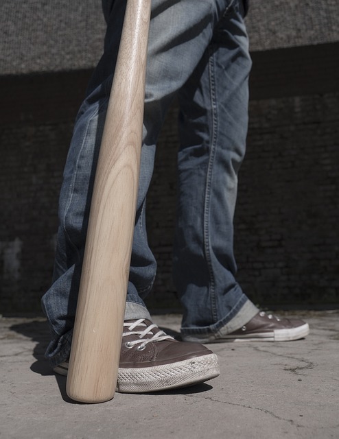 Free Baseball Bat Legs photo and picture