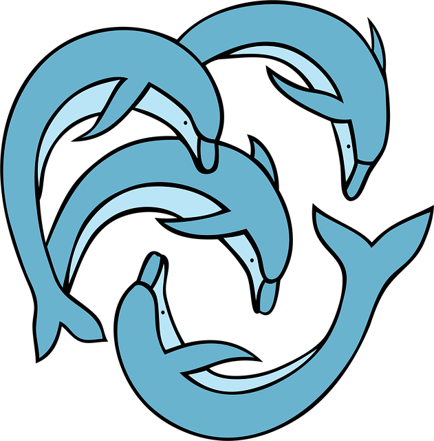 Free Dolphins Mammal vector and picture