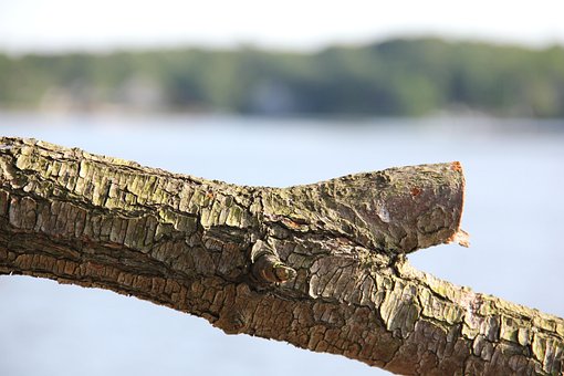 Free Nature Outdoors photo and picture