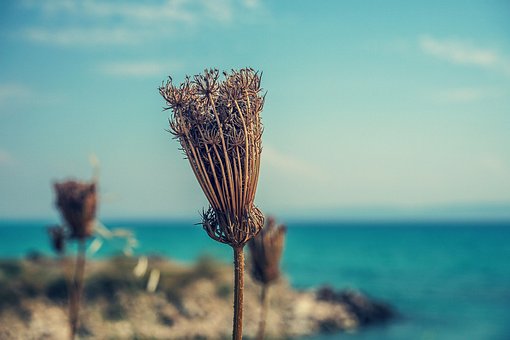 Himmel, Natur, Sommer, Gewässer, Meer