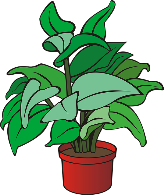 Free plant green plant garden illustration