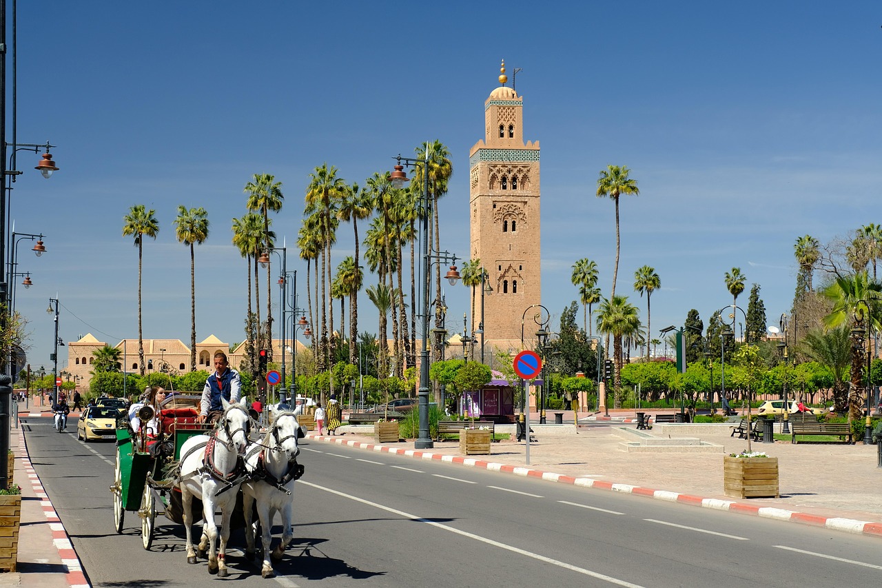 street, city, travel, architecture, tourism, horse, carriage, tower, culture, morocco, marrakech, marrakech, marrakech, marrakech, marrakech, marrakech