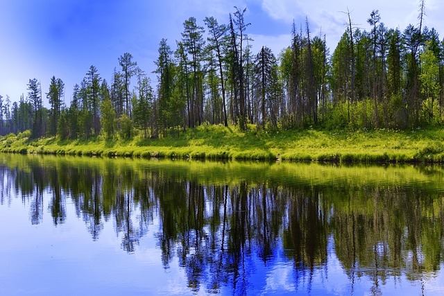 Free River Peleduy photo and picture